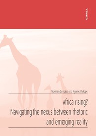 Africa rising? Navigating the nexus between rhetoric and emerging reality