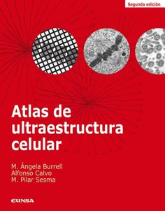 Atlas de ultraestructura celular